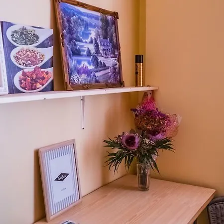 Hostel Tiger Riga