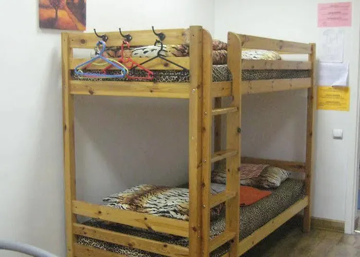 Tiger Hostel *