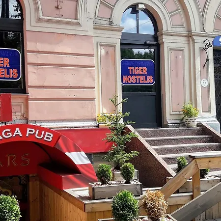 Tiger بيت شباب *