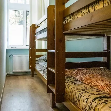 Hostel Tiger *